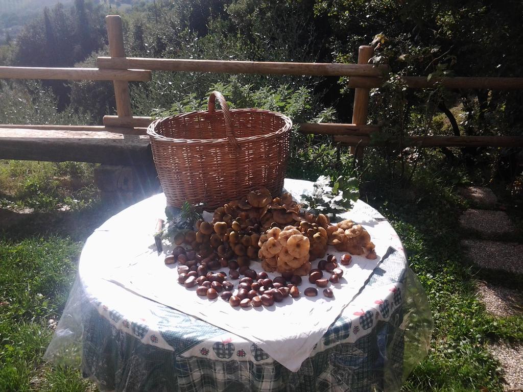 Bed And Breakfast Al Posto Bello بيرودجا المظهر الخارجي الصورة